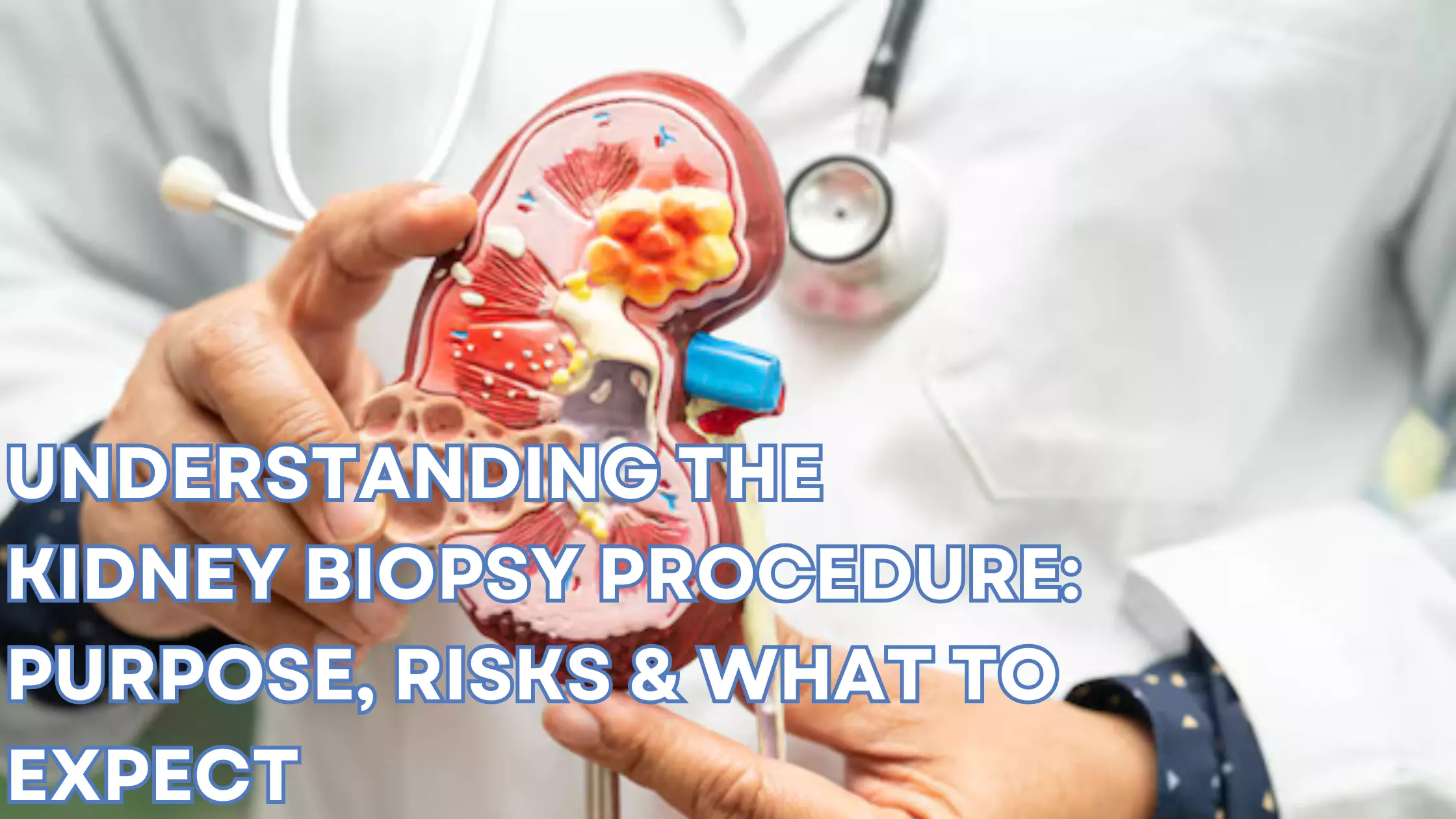 Understanding the Kidney Biopsy Procedure: Purpose, Risks & What to Expect