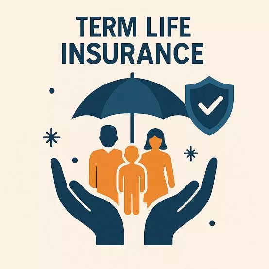 The Best Term Insurance Plans in India for 2026: A Comprehensive User Journey