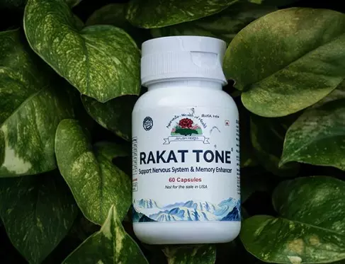 From Stress to Balance: Exploring Nervous System Ayurvedic Supplements