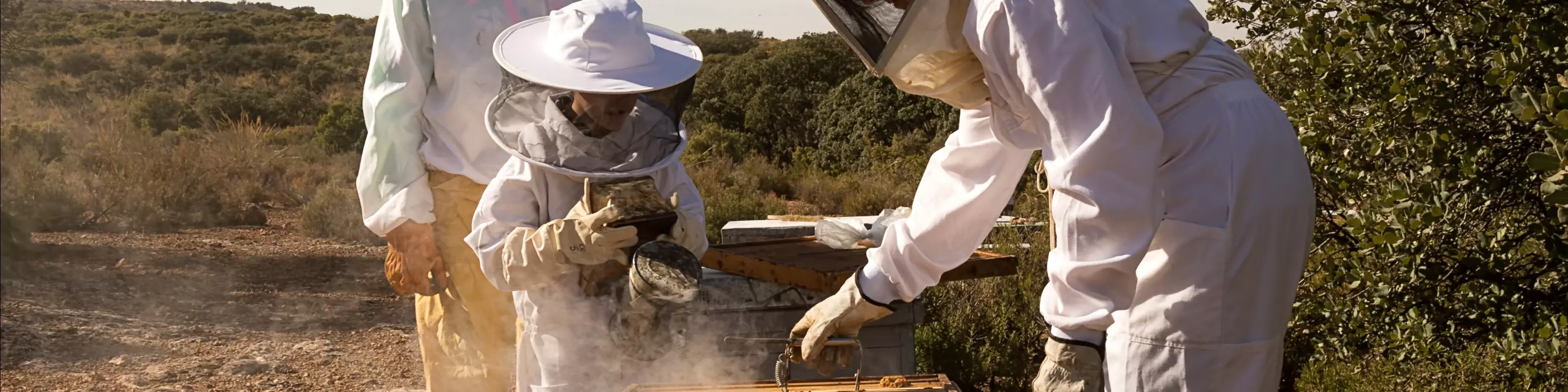 Introduction to Beekeeping Jackets – Why They’re a Must-Have for Every Beekeeper
