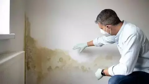 Stop Condensation and Mould Growth with These Simple Tips