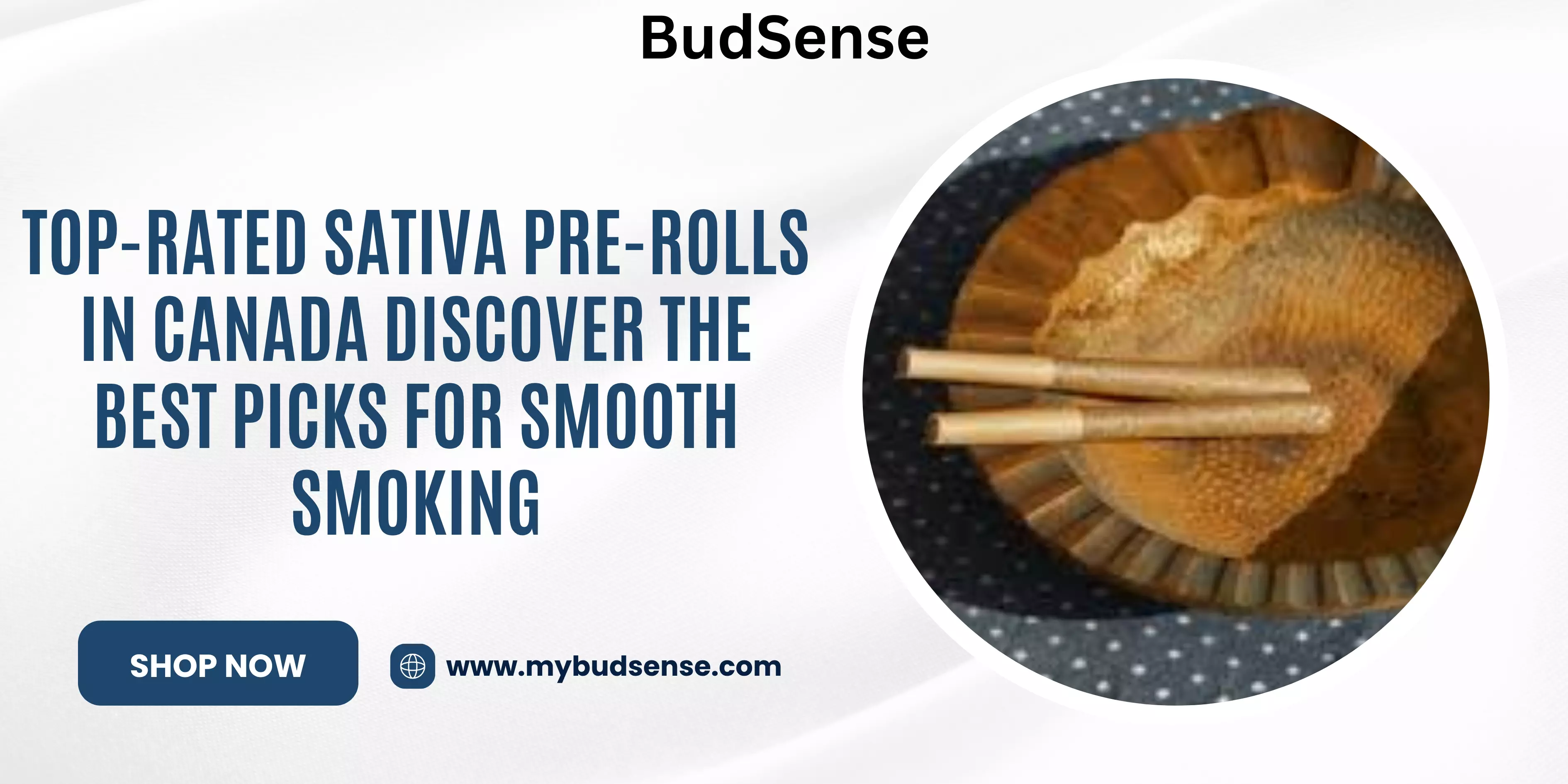 Top-Rated Sativa Pre-Rolls in Canada Discover the Best Picks for Smooth Smoking