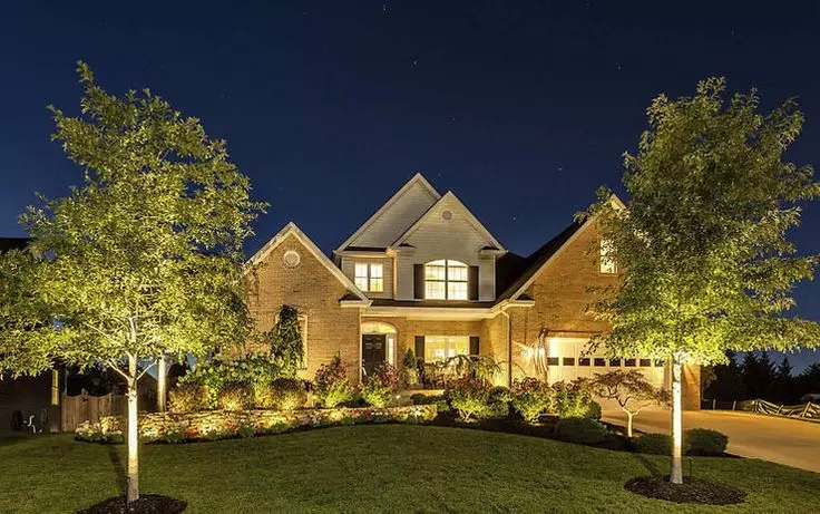 Why You Need Professional Landscape Lighting to Elevate Your Outdoor Space