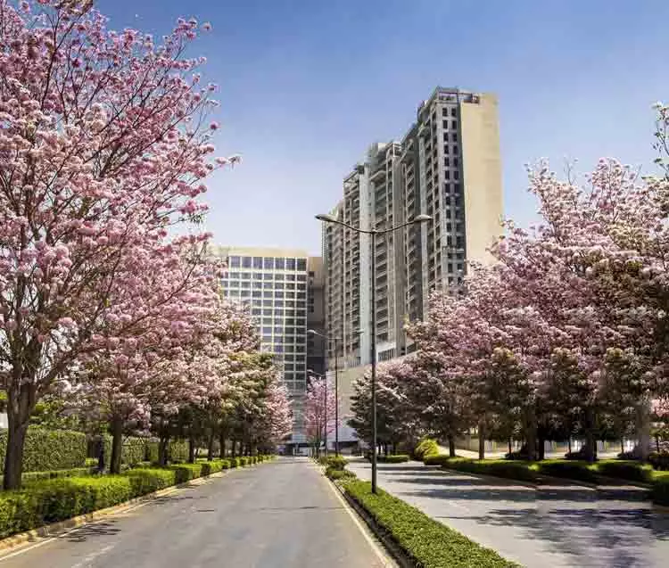 Nikoo Garden Estate – Modern Living in Sadahalli, North Bangalore