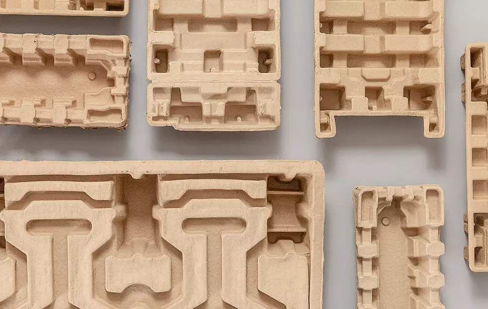 Moulded Pulp Packaging Sees Rising Demand in Electronics, Food, and Cosmetics