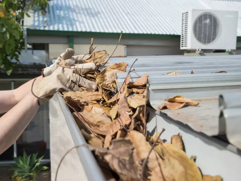 Gutter Cleaning Clayton South – Professional & Affordable Service