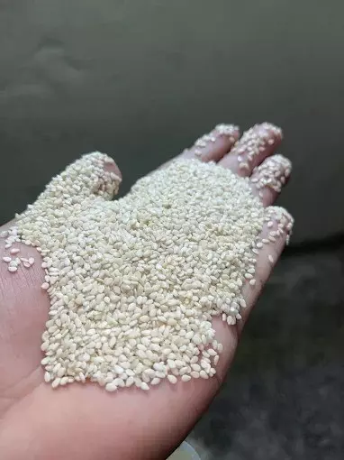 How to Import Sesame Seeds in India from Pakistan