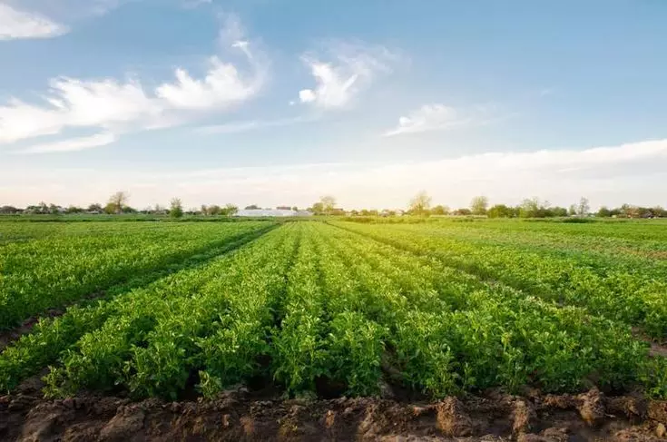 Cultivating Certainty: A Modern Guide to Selecting UK Farm Fuel Suppliers