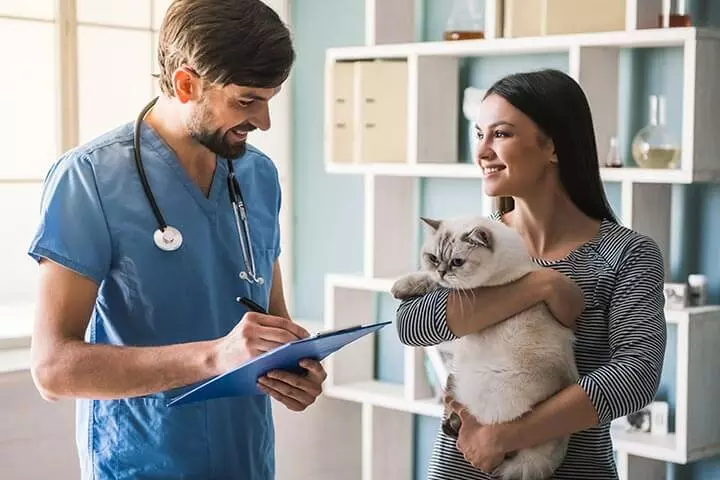 Accountants for Vets. Specialist Veterinary Tax & Accounting