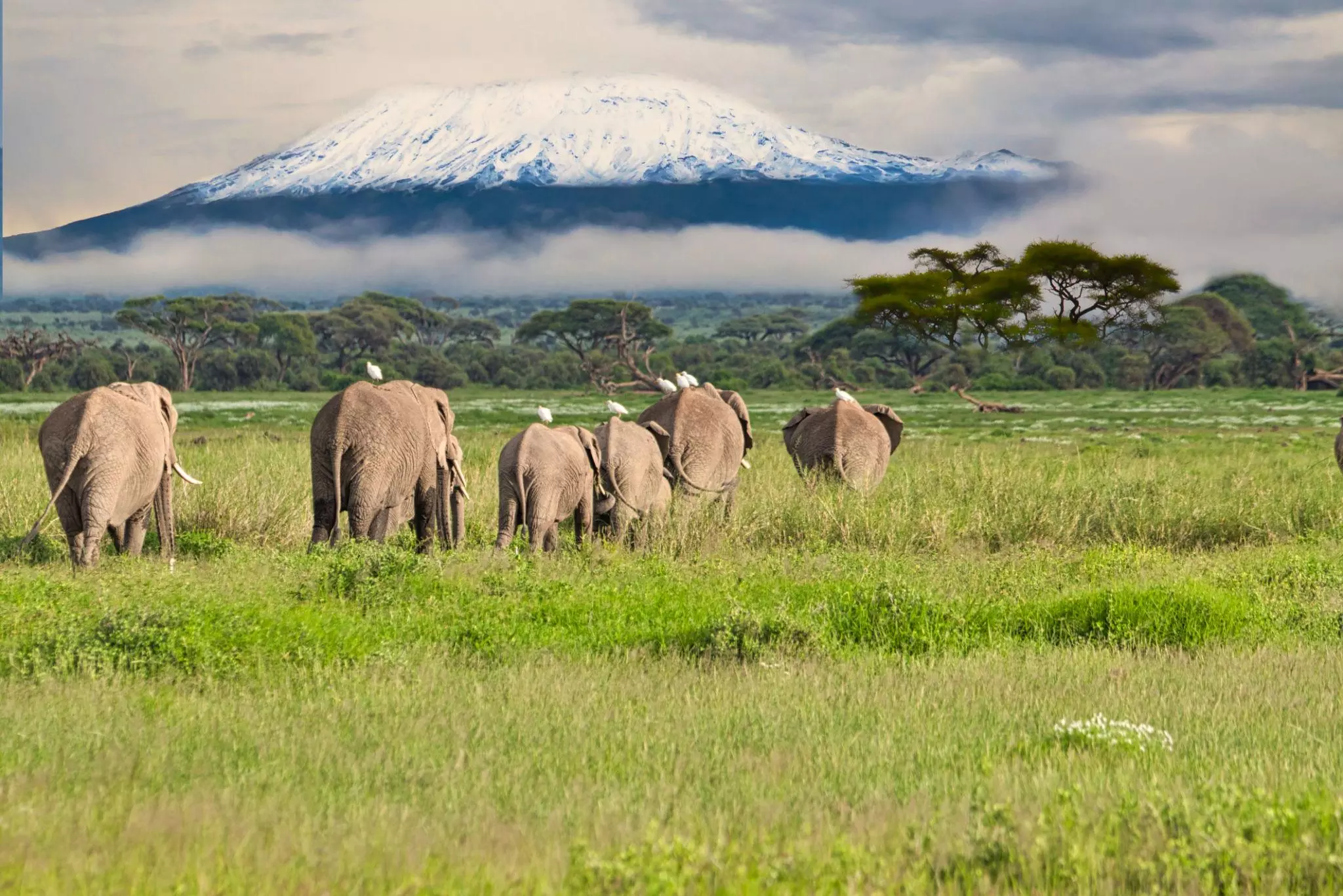 How Can You Combine Wildlife and Coastal Adventures in Kenya?