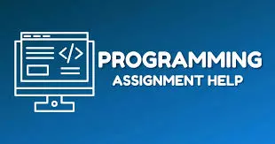 Why Programming Assignments Are About More Than Just Writing Code?