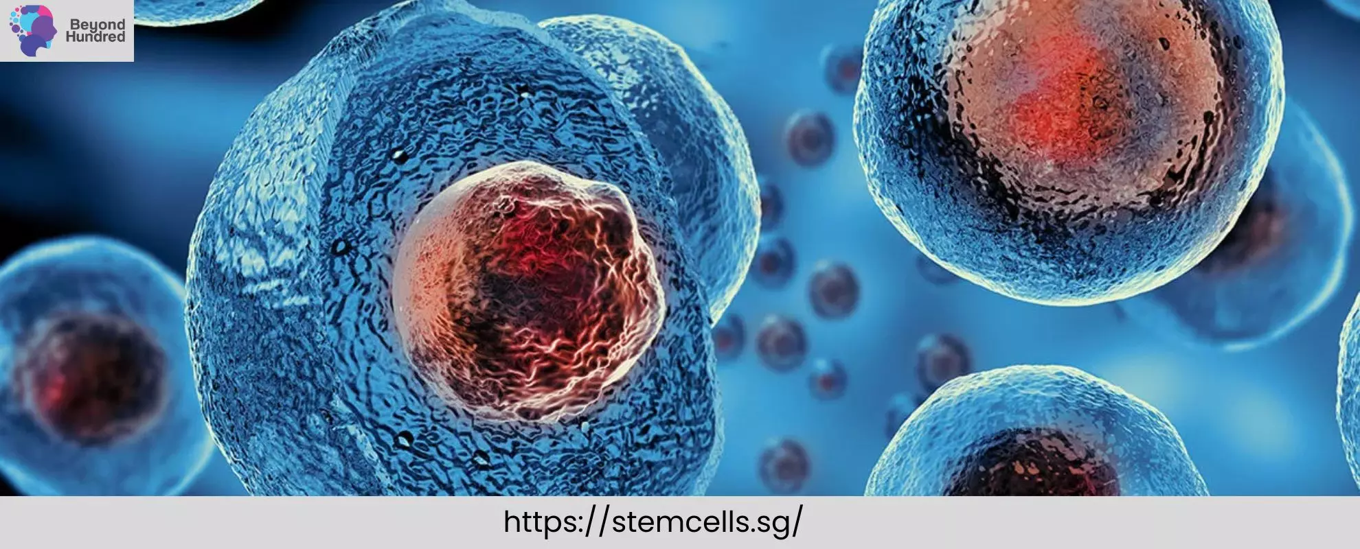 Affordable Stem Cell Therapy Singapore: Clinics, Costs, and Pain Relief