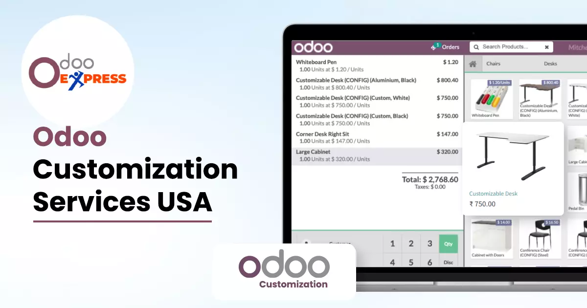 Odoo Customization Services in the USA