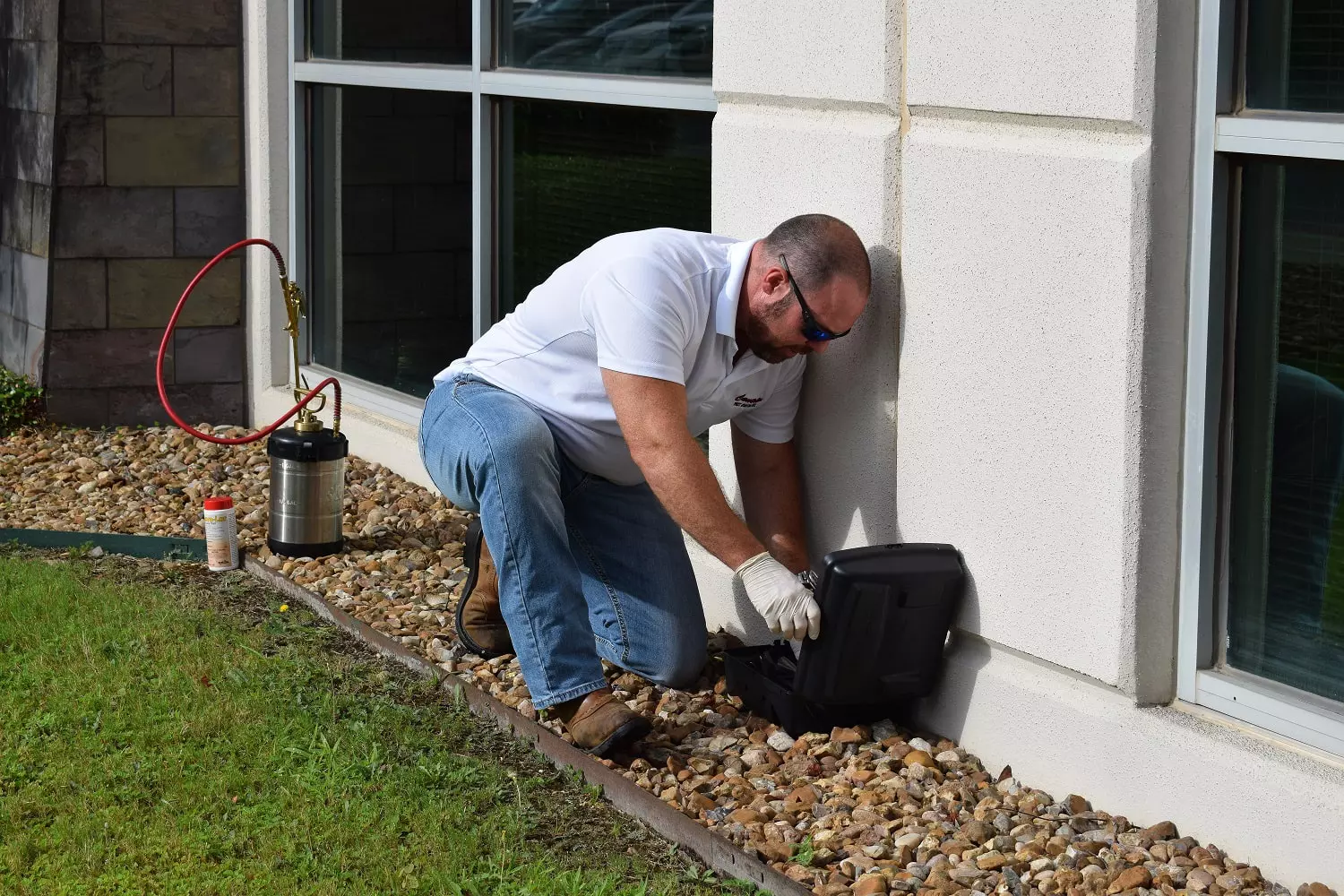 San Antonio’s Best Termite Control Services | Safe & Affordable Solutions