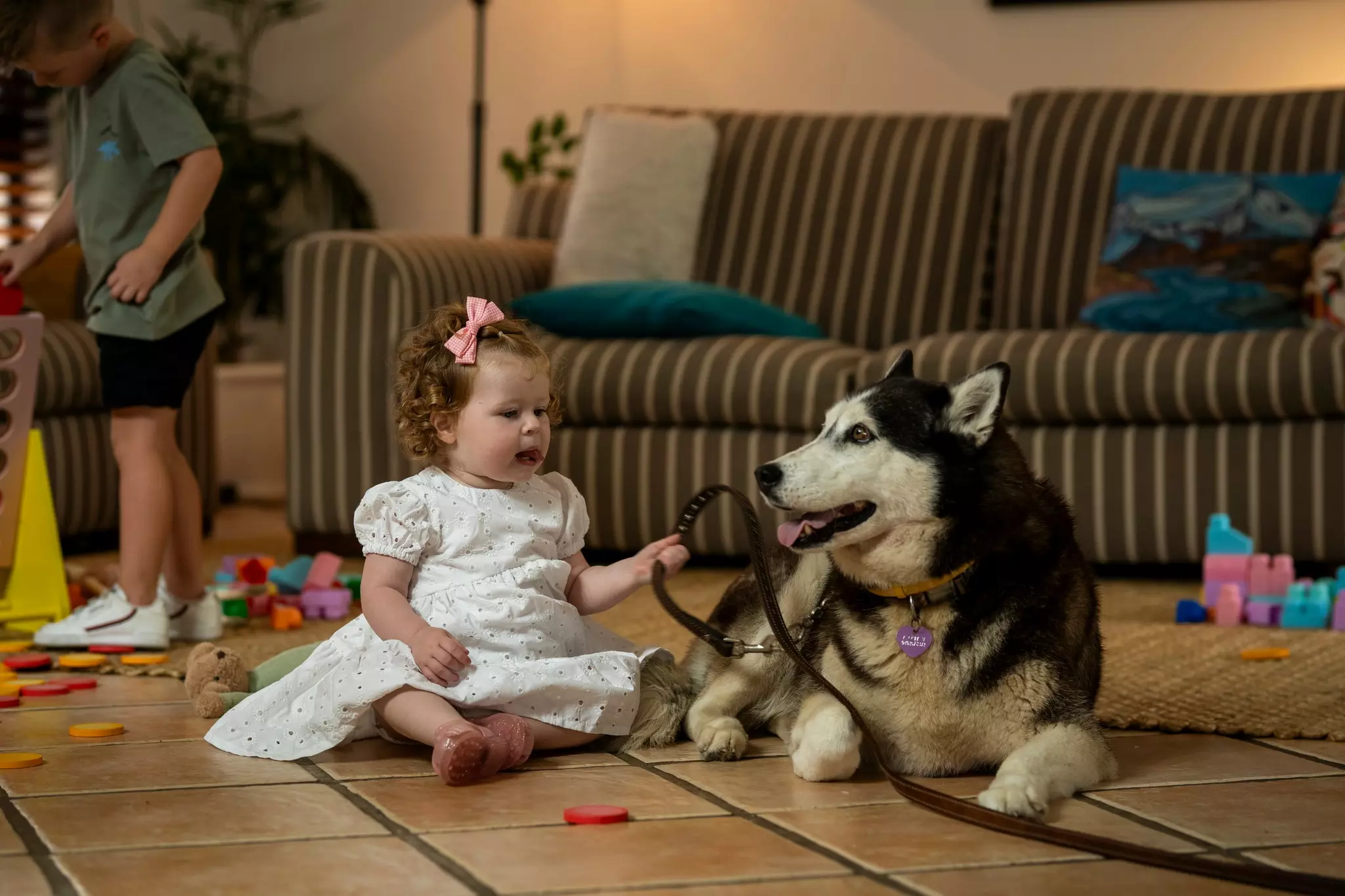 Foster Care Requirements and Process in the Gold Coast