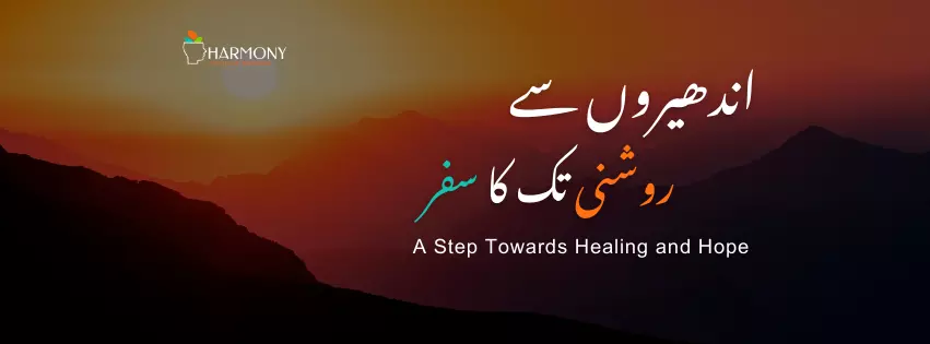Why Women Are Subjected to Domestic Violence in Pakistan: Causes, Effects and Support