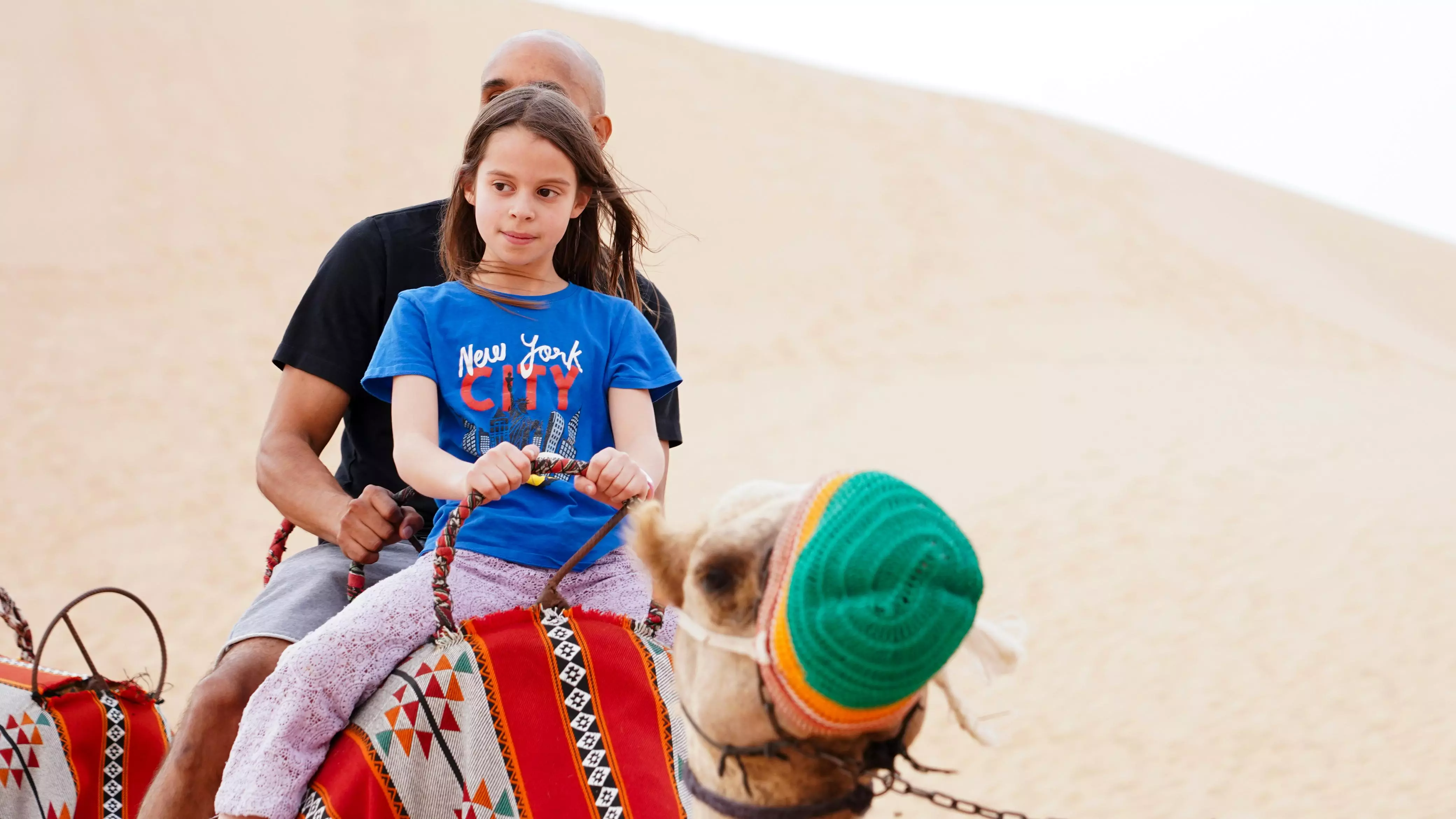 Desert Safaris Abu Dhabi | Top rated best priced Safari Operator
