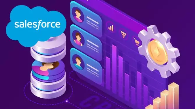 Salesforce Development Companies: How to Choose the Right One