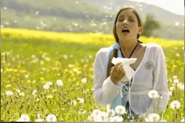 Is Hayfever Injection Therapy Right for Your Allergy Symptoms?