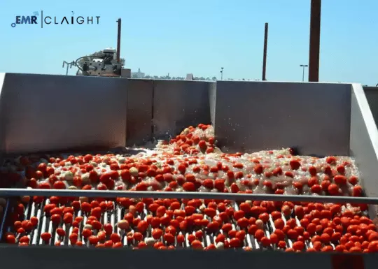 Tomato Processing Market Size & Share | Growth 2034