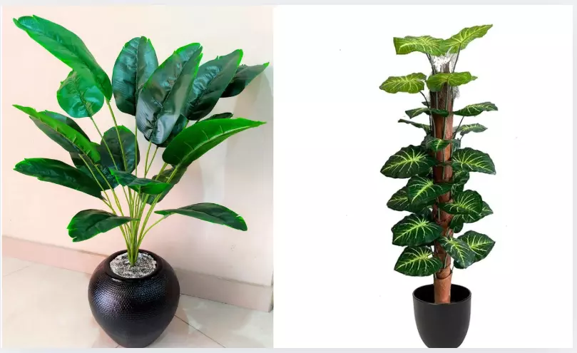 A Full Service Partner from Start