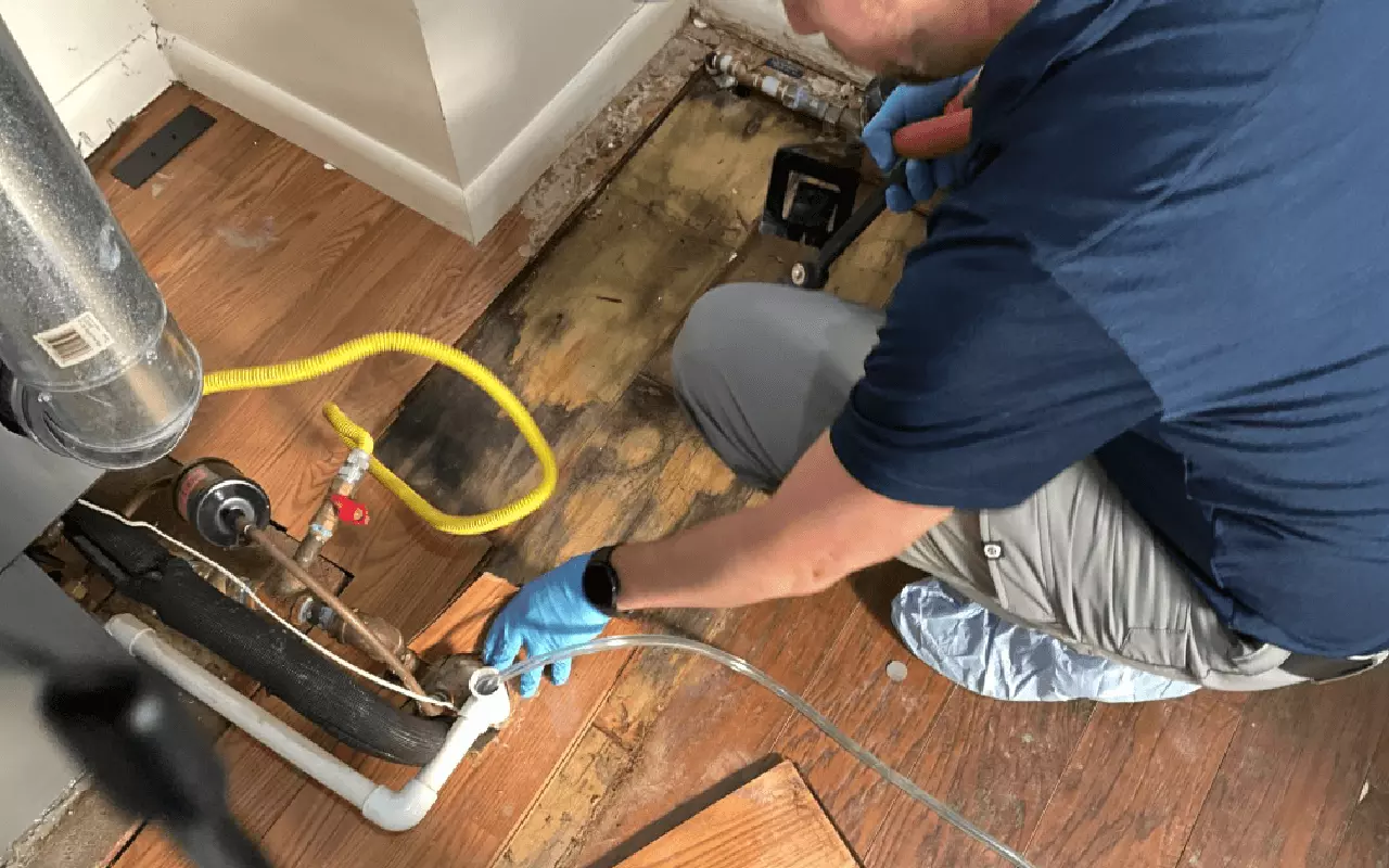 Fast, Professional Water Damage Repair You Can Depend On