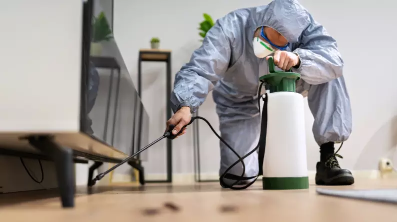 Reliable 24Hr Solutions For Pest Control Montreal-Nord, Quebec, Canada