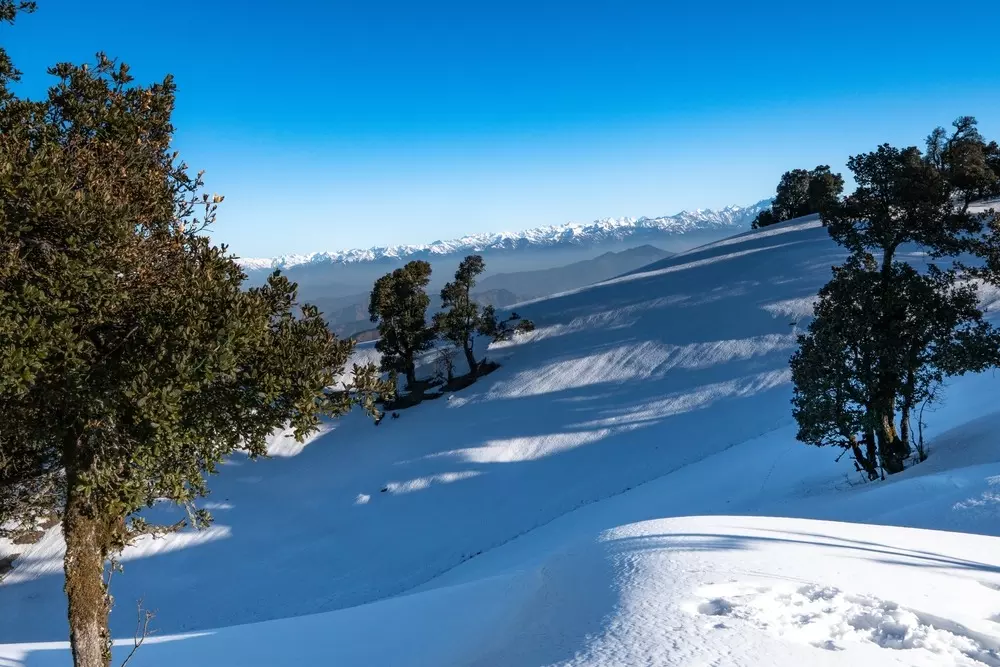 How a Guide Can Elevate Your Nag Tibba Trekking Experience