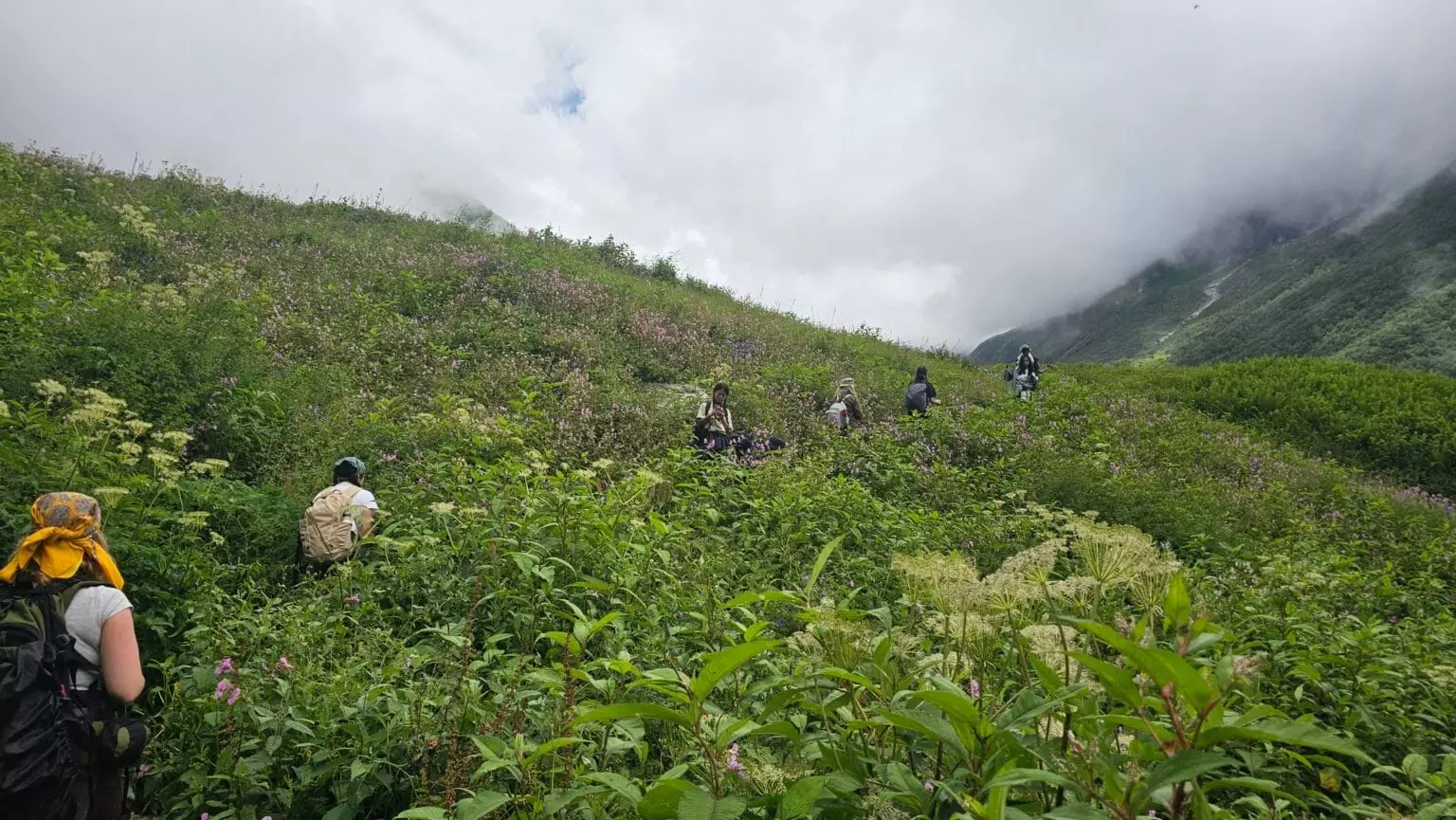 Must-Do Treks in India – Discover the Himalayas Like Never Before