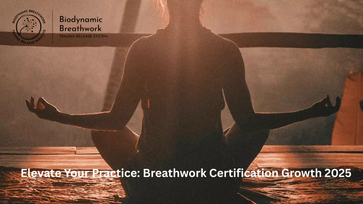 2025 Wellness Breakthrough: The Cultural Forces Behind Breathwork’s Surge