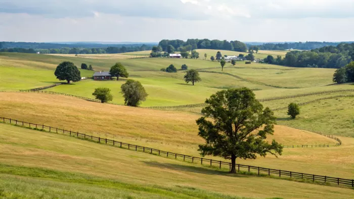 We Buy Land in York County SC: A Simple Way to Sell Land for Cash