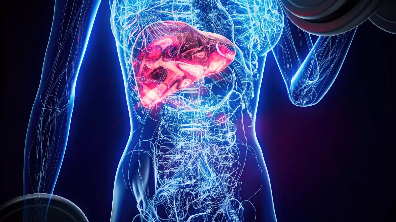 Enhancing Therapeutic Outcomes with Reliable Liver Disease Research Samples