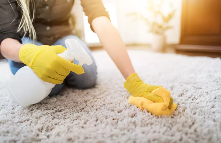 Simple Ideas for Keeping Your Home in Good Shape