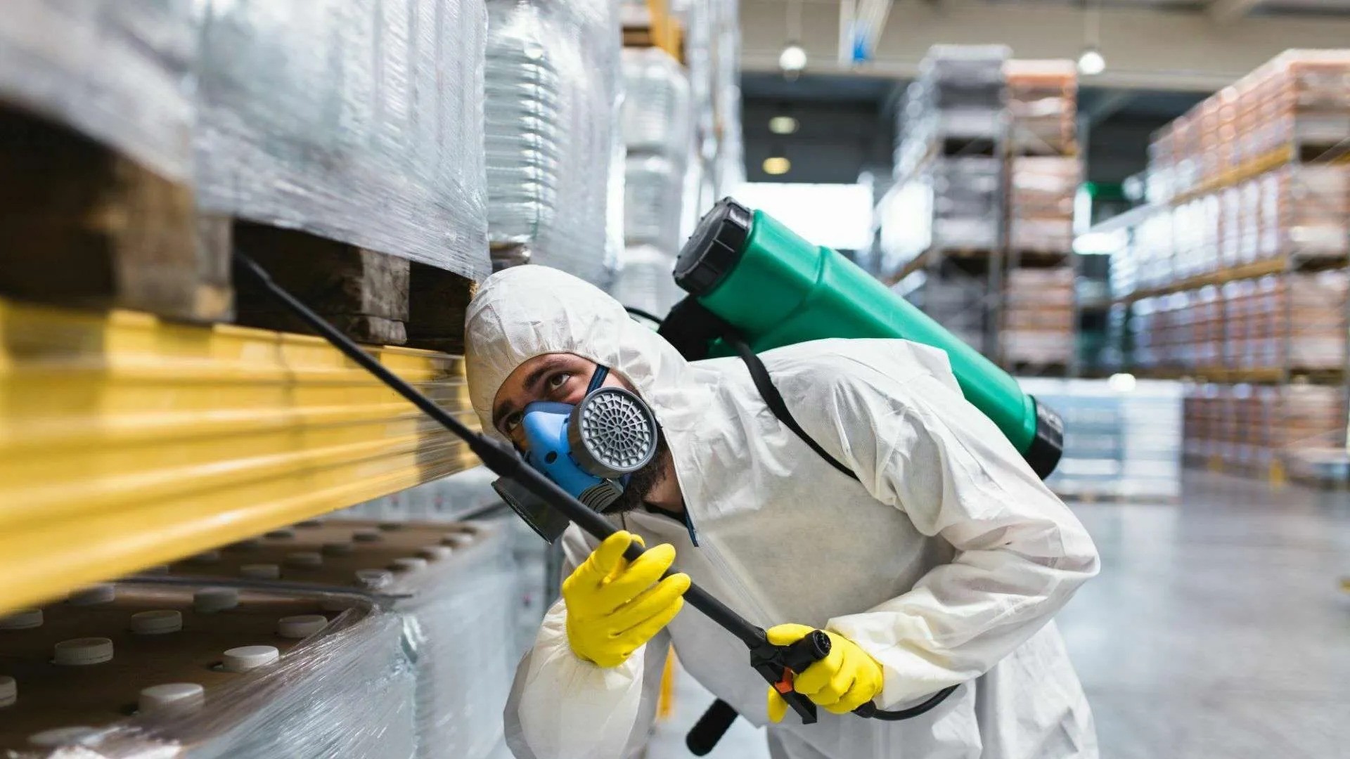 Pest Control Best Practices for Commercial Property Managers