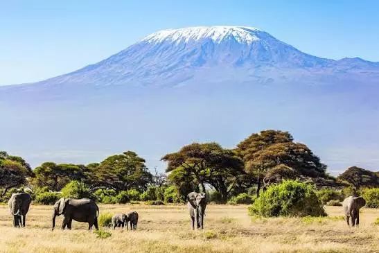 Tanzania Itinerary 10 Days: Explore the Best of Tanzania with Kimgoni Tanzania Safaris