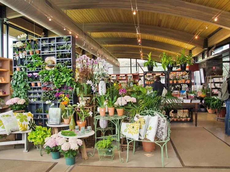 Find the Perfect Gardening Shop for Your Green Space