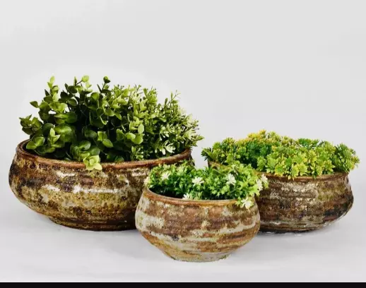 Ceramic Pot Wholesalers Near Me: Find Premium Ceramic Pots for Bulk Orders
