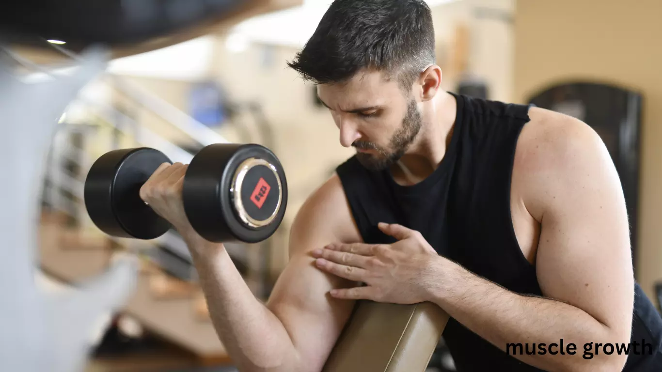 Buy XUL Stack (GW-501516 + RAD-140) – Research-Grade Quality from PureRawz