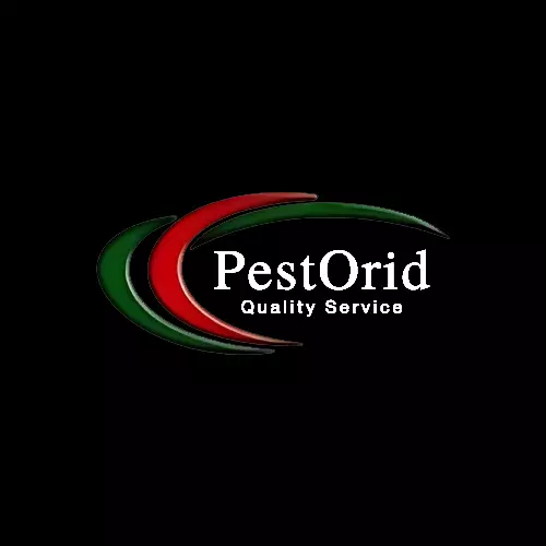 Wasp Nest Removal Vaughan: Safe & Effective Extermination