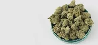 Shake Weed Guide: Benefits, Uses & Buying Tips