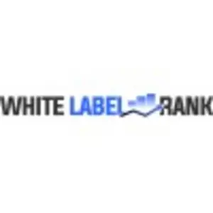 How to Improve Your Website Visibility With Professional SEO Services