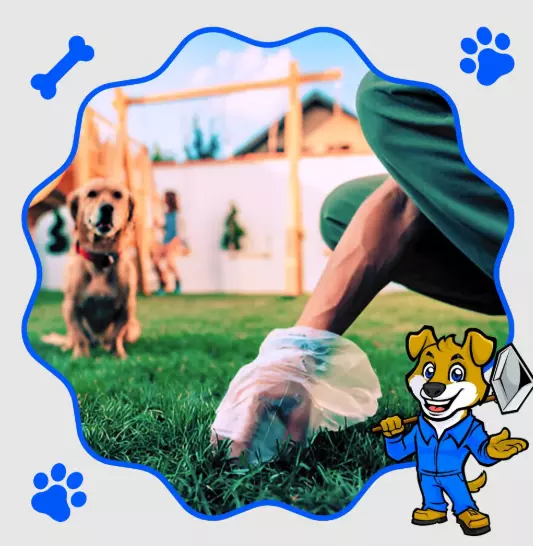 Dog Poop Pickup in DFW: Keep Your Yard Clean, Safe, and Stress-Free