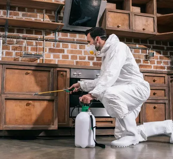 Trusted Safe Pest Control Brampton  Service for Homes