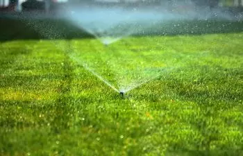 Create the Perfect Lawn with Irrigation & Sod Services in Sparks, NV
