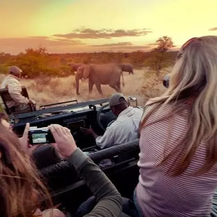 Skukuza Safari Packages: Your Guide to Wildlife, Accommodation and Tours
