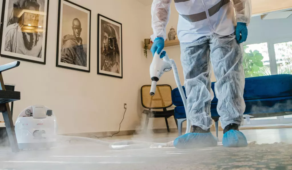 Deep Cleaning Carpets for Allergy Relief in Phoenix