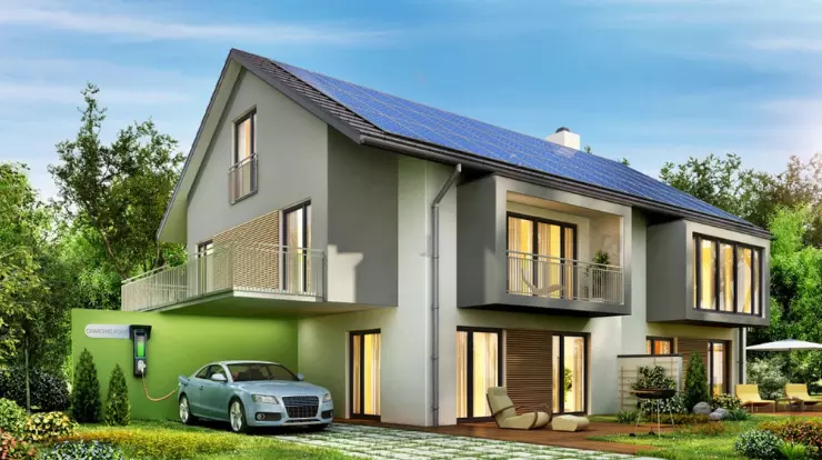 Why Botanical Garden Models in Dubai Attract Public Exhibitions