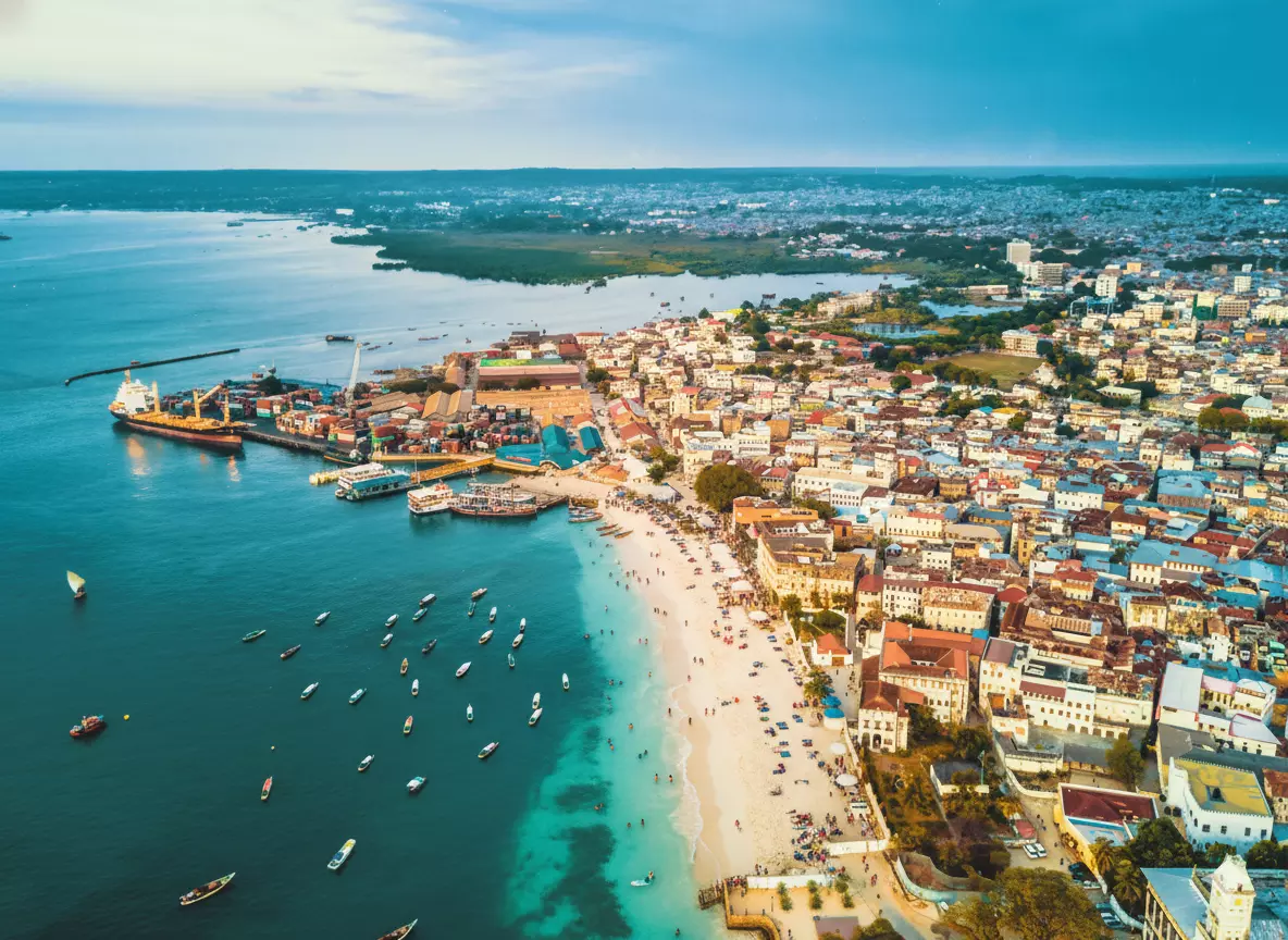 Tanzania eVisa for Switzerland