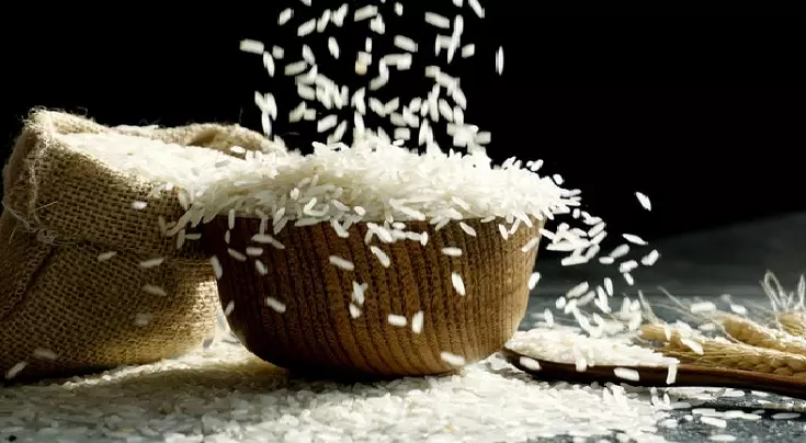 Rice Suppliers From India: Why Global Buyers Trust Indian Rice