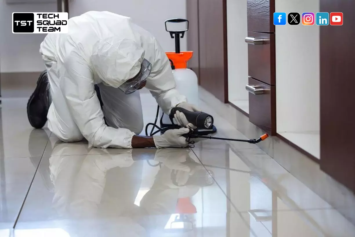Effective Pest Control Services in Hyderabad for Apartments, Offices, and Homes